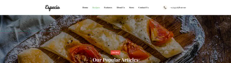 Especio - Food Blog Elementor Template Kit