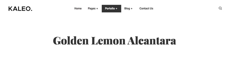 Kaleo - Creative Portfolio Template Kit