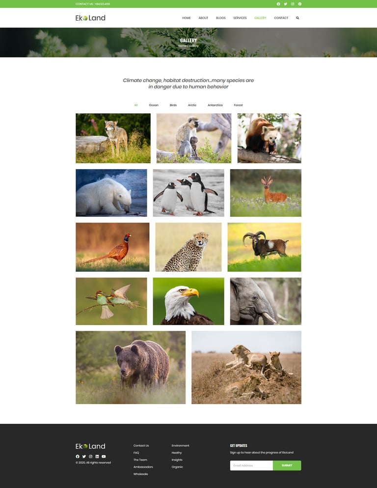 Eko - Environment & Ecology Template Kit