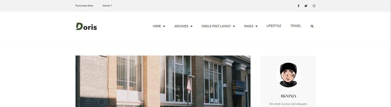 Doris - Blog & Magazine Template Kit