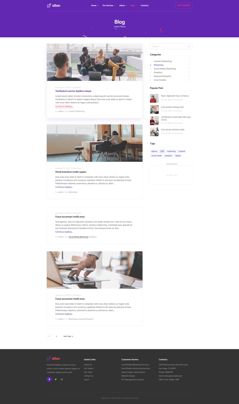 Silion - Digital Marketing Elementor Template Kit