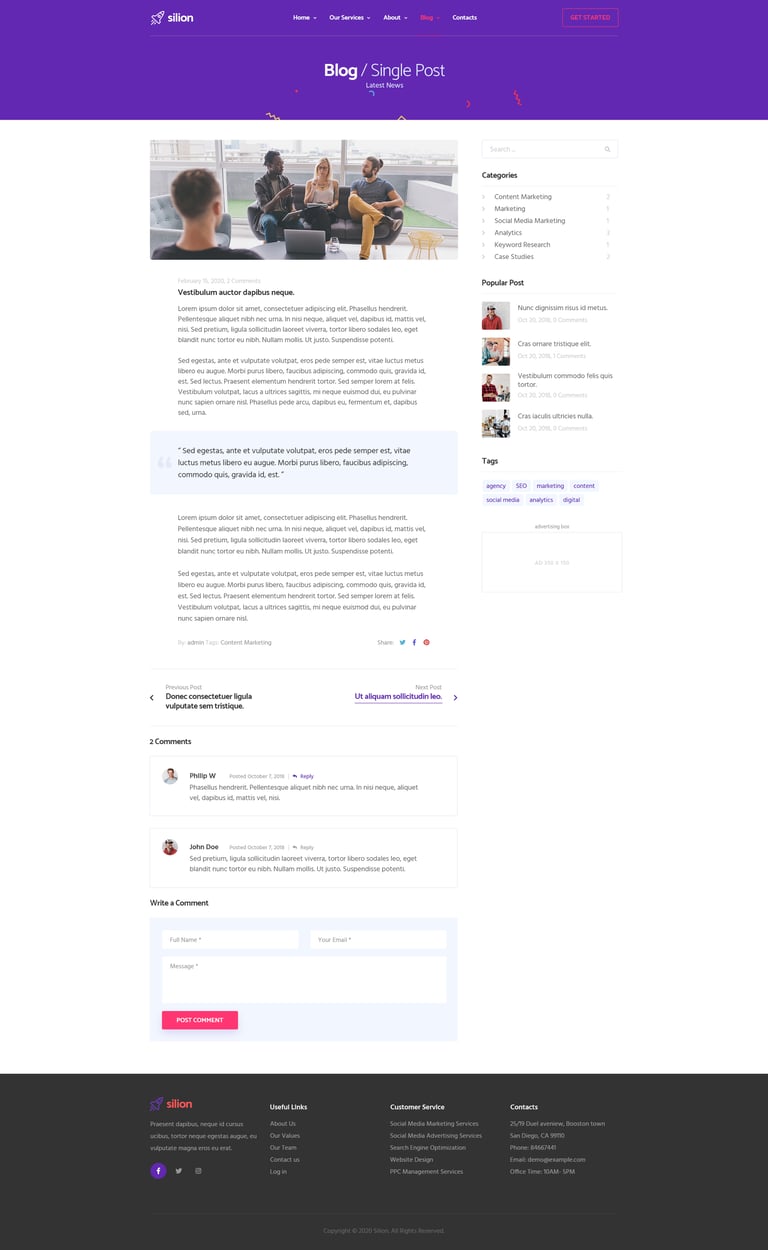Silion - Digital Marketing Elementor Template Kit