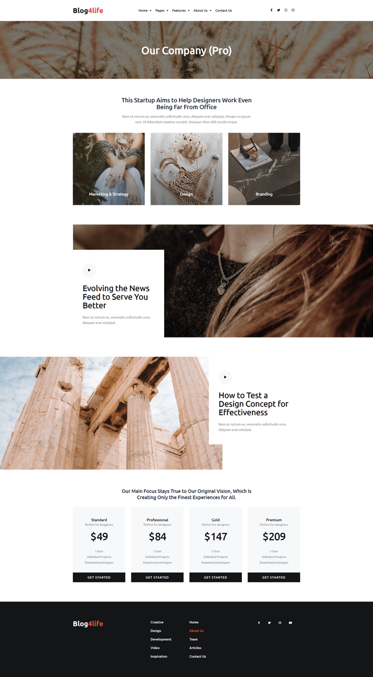 Blog4Life - Blog & Magazine Elementor Template Kit