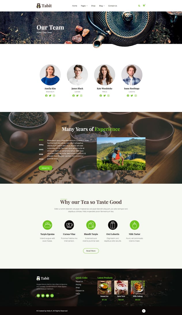 Tabit — Teahouse & Tea Store Elementor Template Kit