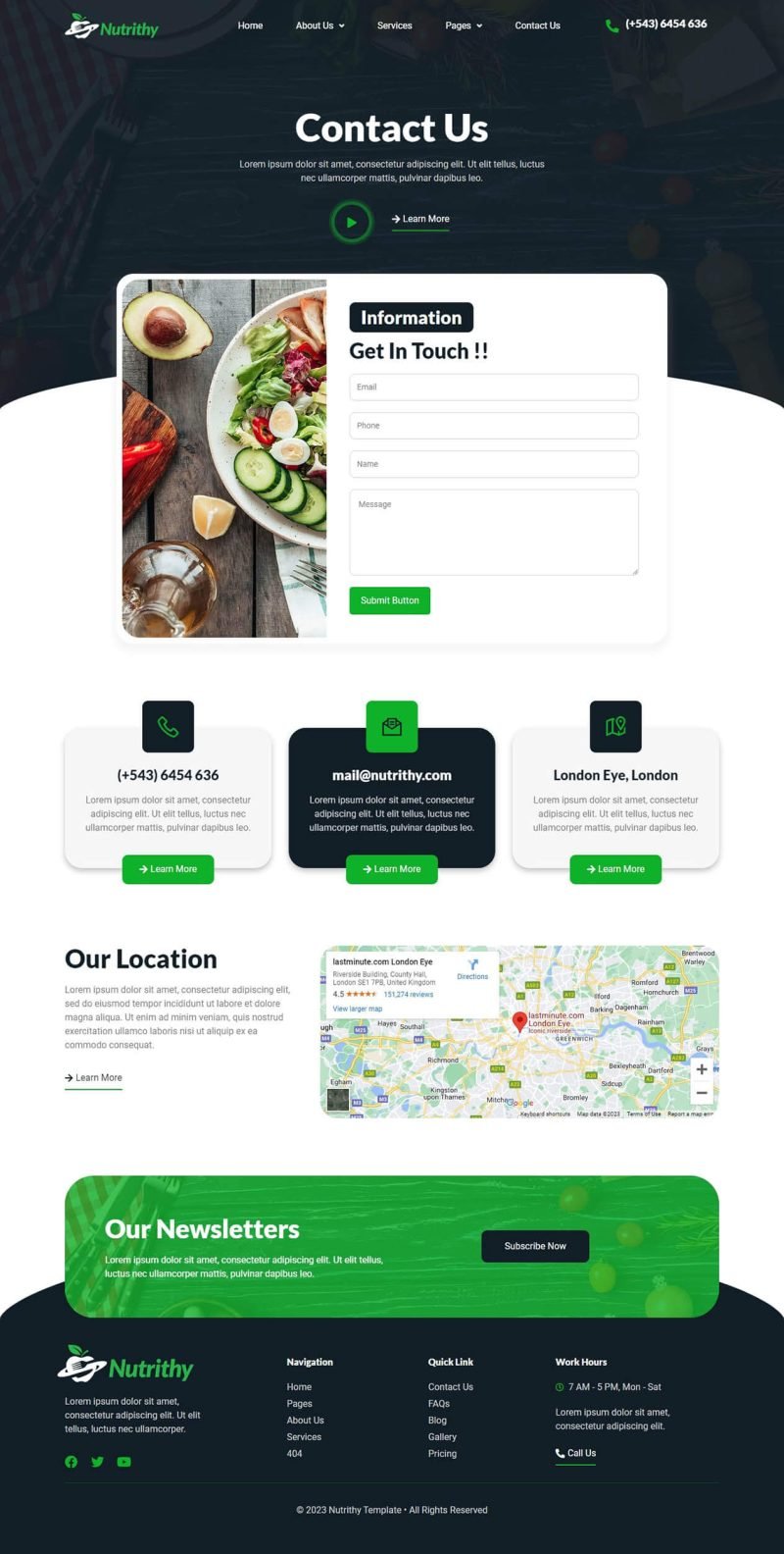 Nutrithy Healthy Food & Nutrition Elementor Template Kit, WP Template