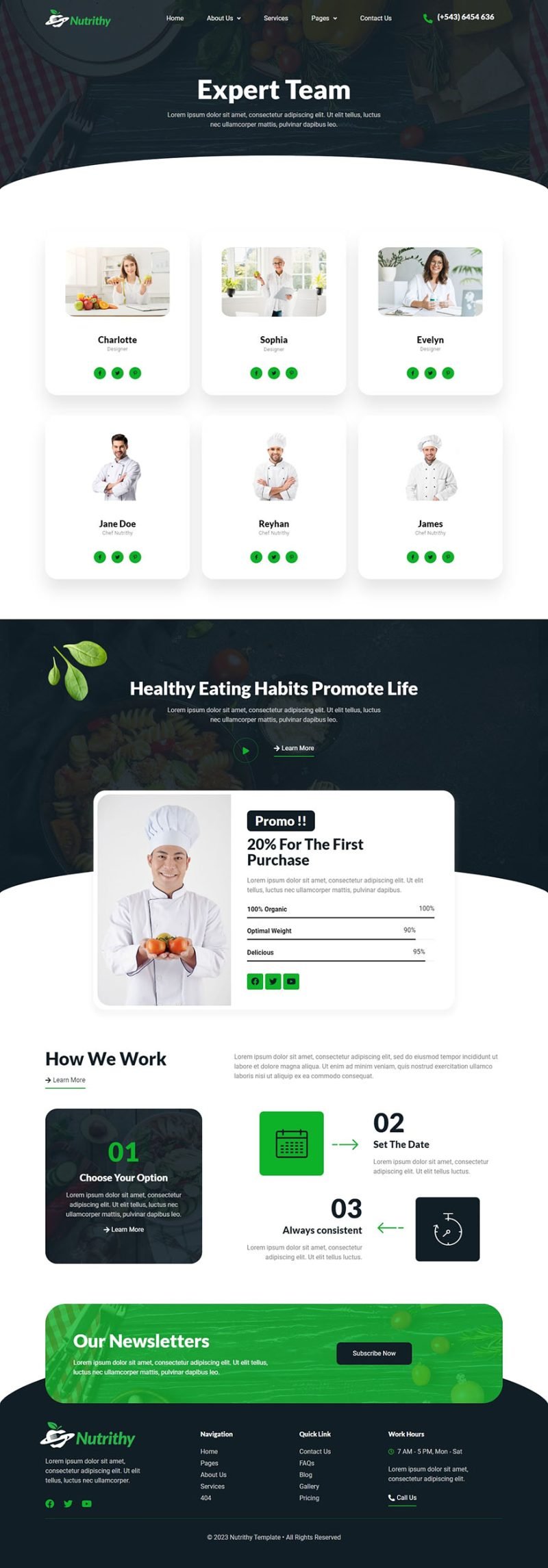 Nutrithy Healthy Food & Nutrition Elementor Template Kit, WP Template