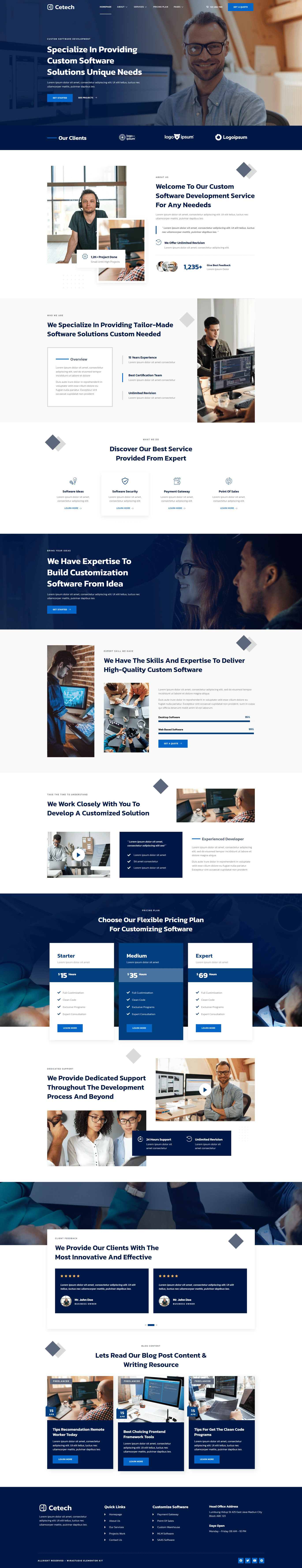Cetech - Custom Software Development Services Elementor Template Kit ...