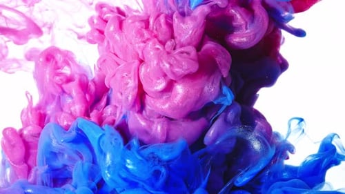 Abstract Blue and Pink Ink Plumes on White