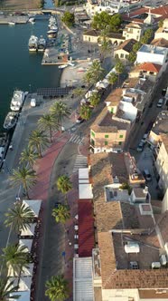 Aerial View of Waterfront Town with Palm Trees, City Stock Footage ft ...