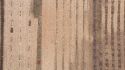 VUE AÉRIENNE : Survoler latéralement d'immenses terres agricoles au début du printemps, prêtes à être ensemencées