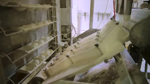 Industrial automated machine handles balls of dough inside bread factory