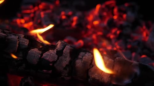 Burning Embers and Wood Fire Close Up