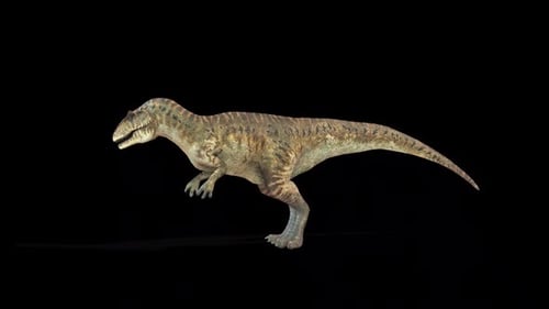 Realistic 3D Allosaurus Dinosaur Walking Cycle