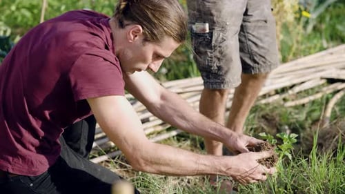 Man Plants Seedling in Garden with Companion Nearby
