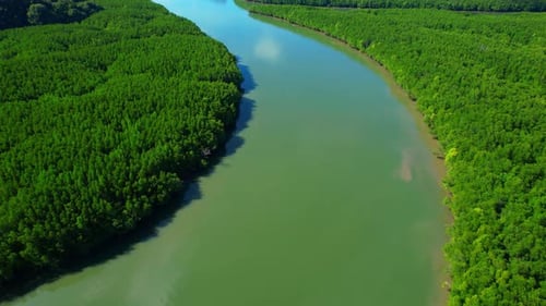 4K : Drone Flying over the mangrove forest at Phang Nga Bay