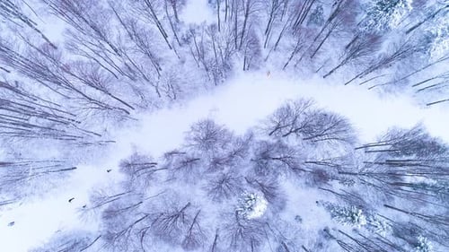 Top view of a ski slope in the frozen forest covered with snow.