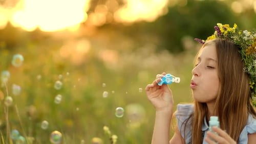 Girl on the Summer Meadow