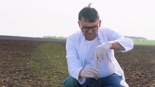 Senior Scientist Studying Sample of Soil in Field Soil Sampling for Chemical Analysis and Ph Test