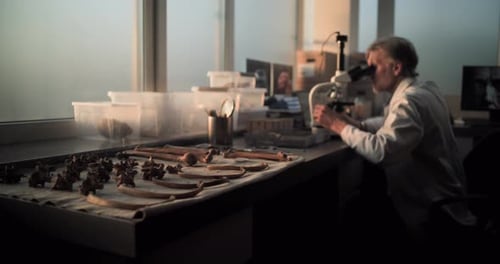 Researcher Examines Ancient Bones Under Microscope in Lab