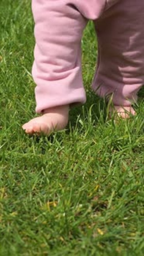 Baby Barefoot On Grass Taking Steps Tiny Feet In Pink Pants Wobbling Across Green Lawn Morning