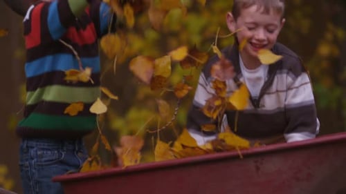 Boys Playfully Throw Fall Leaves from Wheelbarrow Outdoors