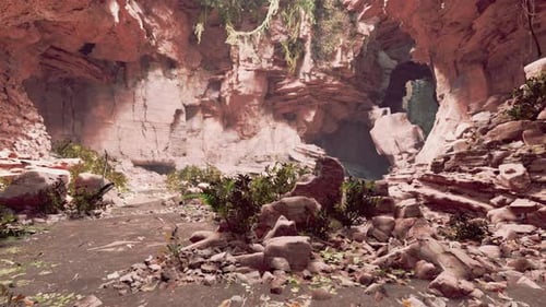 The View Inside Fairy Cave with Plants