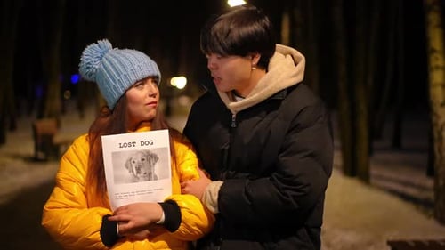 Handsome Asian Man Cheering Up Sad Caucasian Woman Standing with Lost Dog Placard on Night Street on
