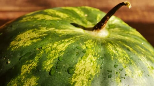 Closeup Top of a Ripe Green Striped Watermelon with Water Drops on a Brown Background
