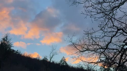 Cinematic Sunset Sky with Colorful Clouds Behind Silhouetted Trees