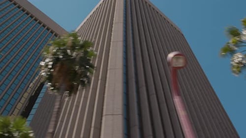 Downtown Skyscraper Facades and Palm Trees Passing By