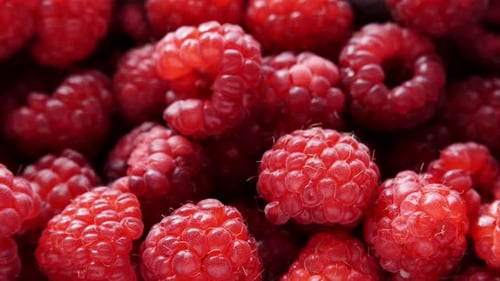 Frische Himbeerfrüchte als Lebensmittelhintergrund