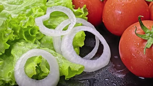 Fresh Salad Ingredients: Tomatoes, Lettuce, Onion