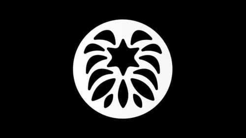 Fireworks Black Icon 3d Loop