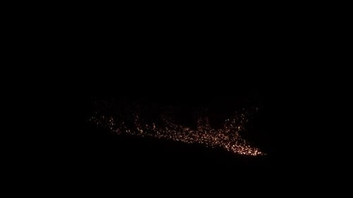 Golden Sparkle Dust Particle Element Transition