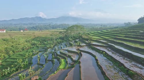 Iconic rice terraces in Indonesia landscape, aerial view