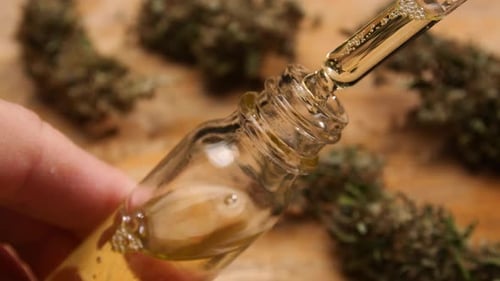Óleo de cannabis no tubo conta-gotas com fundo de flores de maconha. Conceito de medicina alternativa.