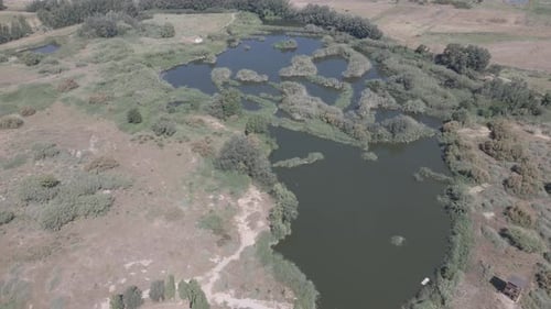 aerial views of a wetlands