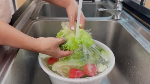 Washing vegetables in kitchen sink close up lettuce and tomatoes rinsing under running water