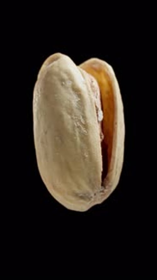 Pistachio Rotating in White Bowl on Black Stone Slate Unpeeled Nut Closeup