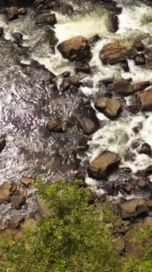 Mountain River Stream in Sunny Summer Day