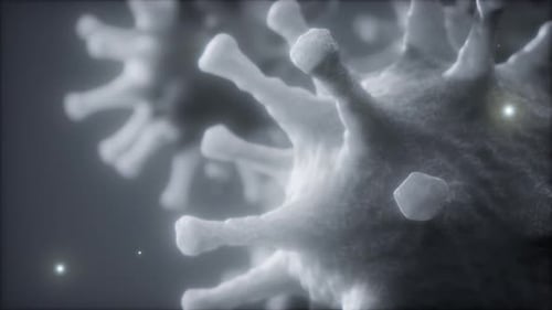 Microscopic Virus Cell 3D Render Loop for Scientific Content