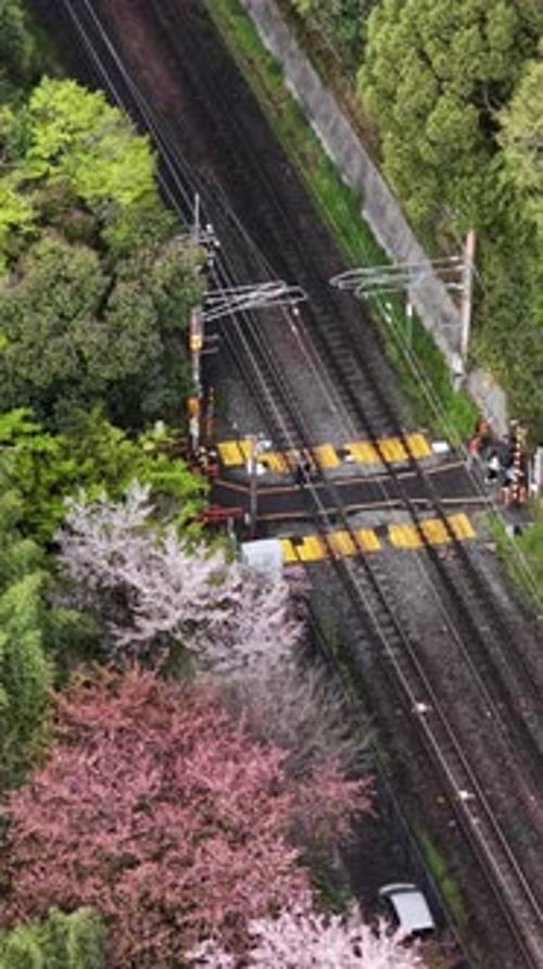 Aerial drone view of people crossing the railroad in Arashiyama, Japan