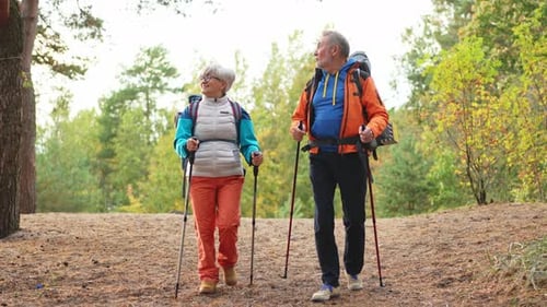 Hiking Tourism Adventure Senior Couple Man Woman Enjoying Outdoor Recreation Hiking in Forest Happy