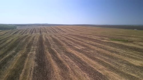 Tractor working on the field doing tillage with cultivator
