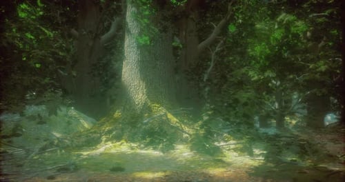 Majestic Old Tree Surrounded By Lush Green Foliage in a Serene Forest
