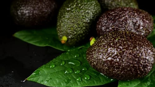 Wassertropfen fallen auf Avocadofrüchte mit Blättern auf schwarzem Hintergrund. Rohes Obst, gesundes Essen.