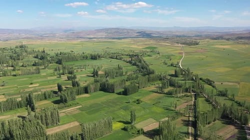 Vista aérea de tierras de cultivo verdes y fértiles
