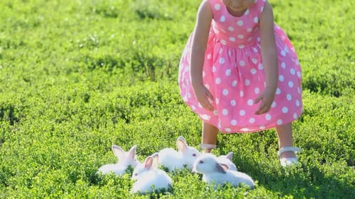 A Little Girl is Playing with a White Hare in the Garden Sitting on the Green Grass
