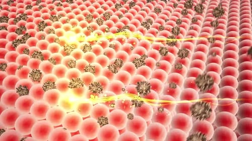 Cells and Pathogens Interaction Illustration