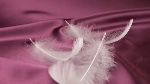 Feathers Falling Gently on Pink Satin Material